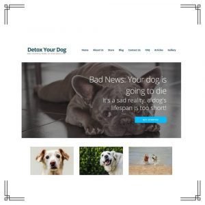 Portfolio Website Detox Your Dog